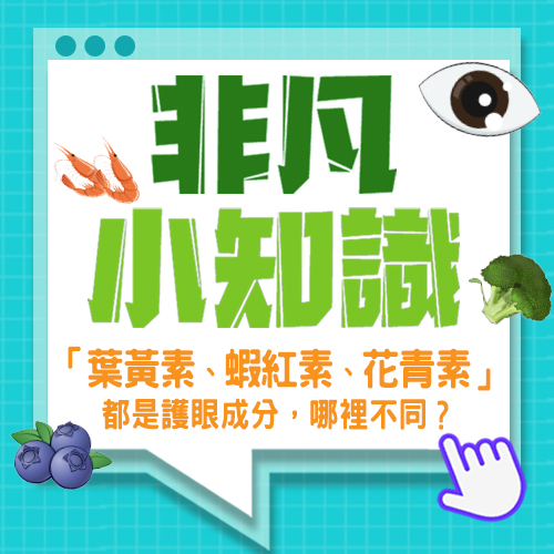 【非凡小知識】「葉黃素、蝦紅素、花青素」都是護眼成分，哪裡不同？