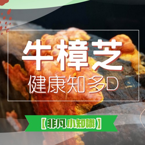 【非凡小知識】健康知多D~「牛樟芝」是什麼?